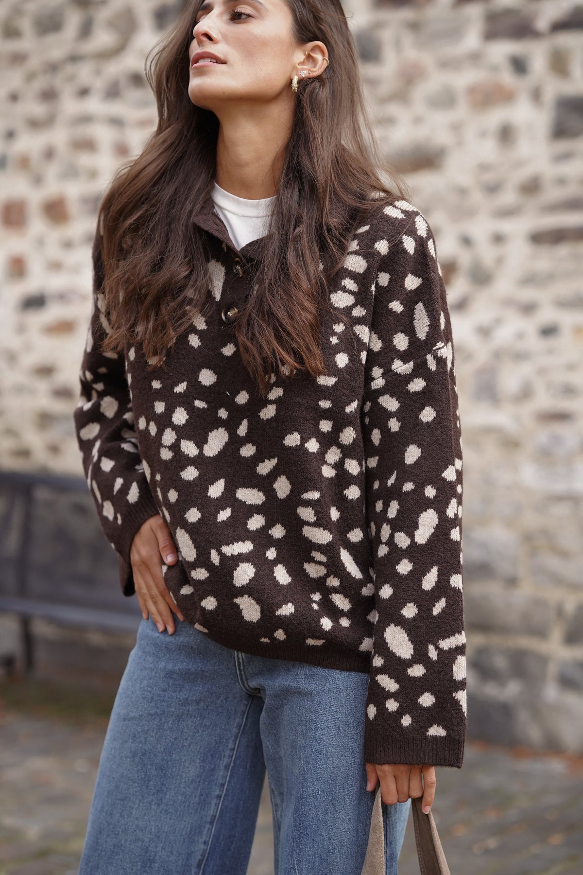 Pull Timmy imprimé marron