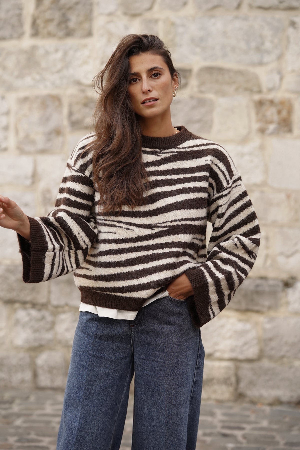Pull Marty imprimé zébre