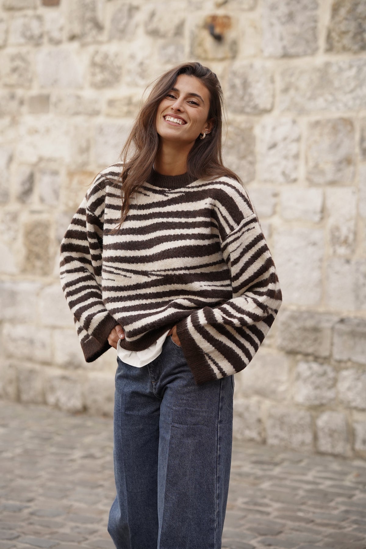 Pull Marty imprimé zébre