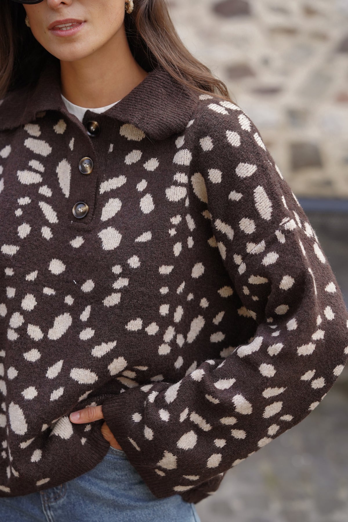 Pull Timmy imprimé marron