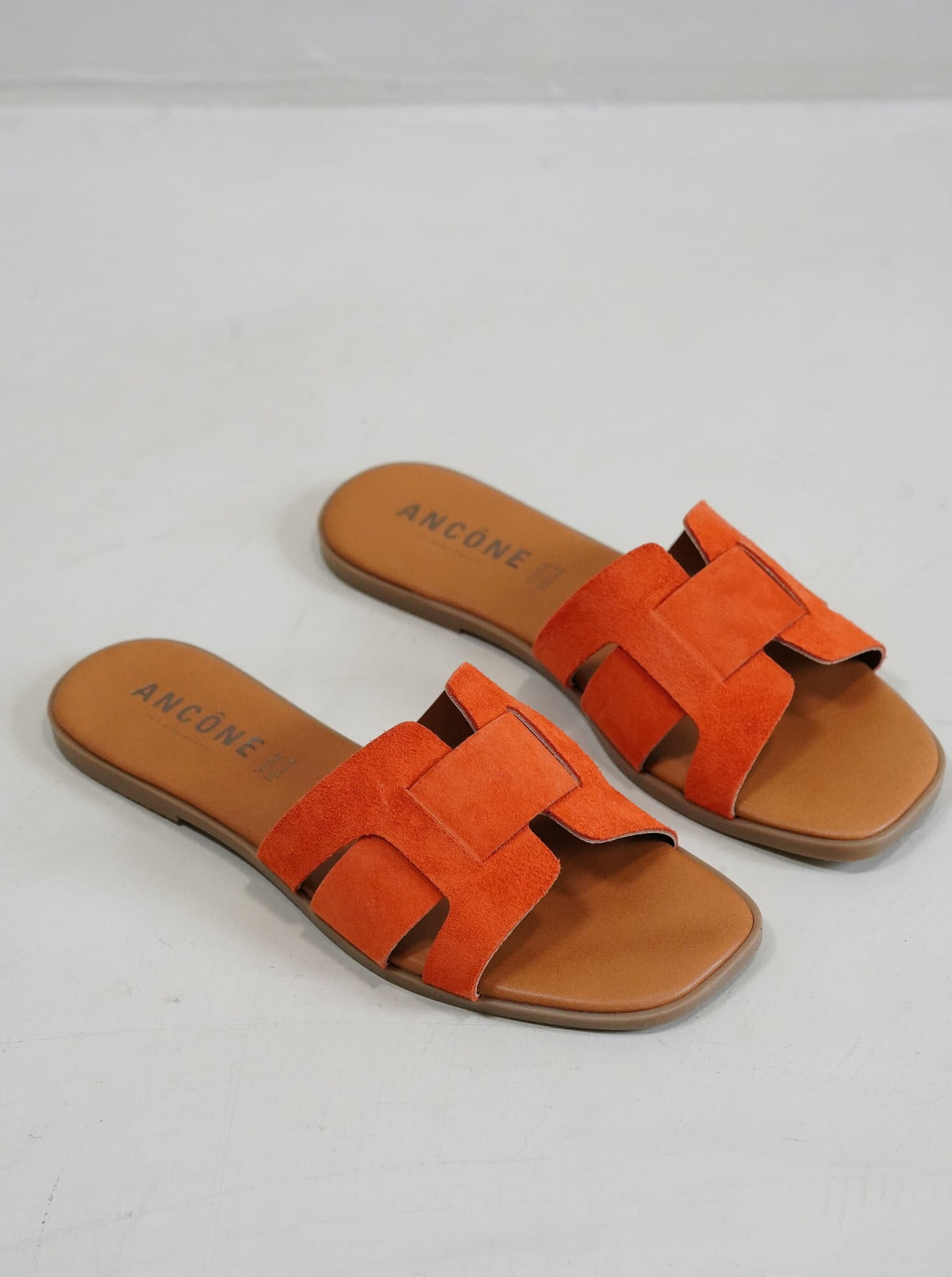 Hinaya Terracotta