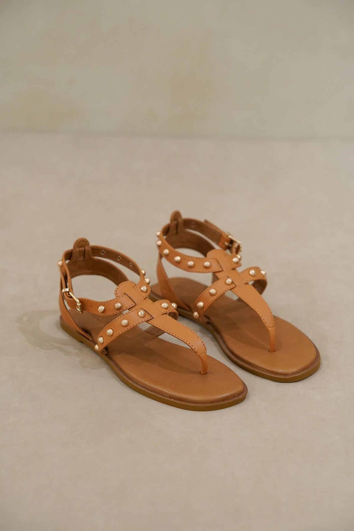 Baria Camel