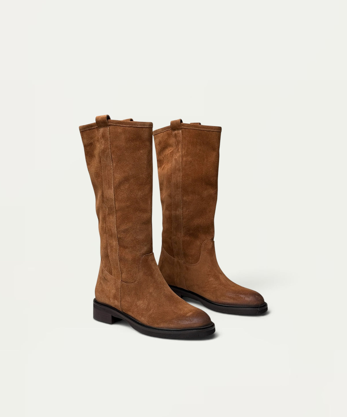 Clarita Camel