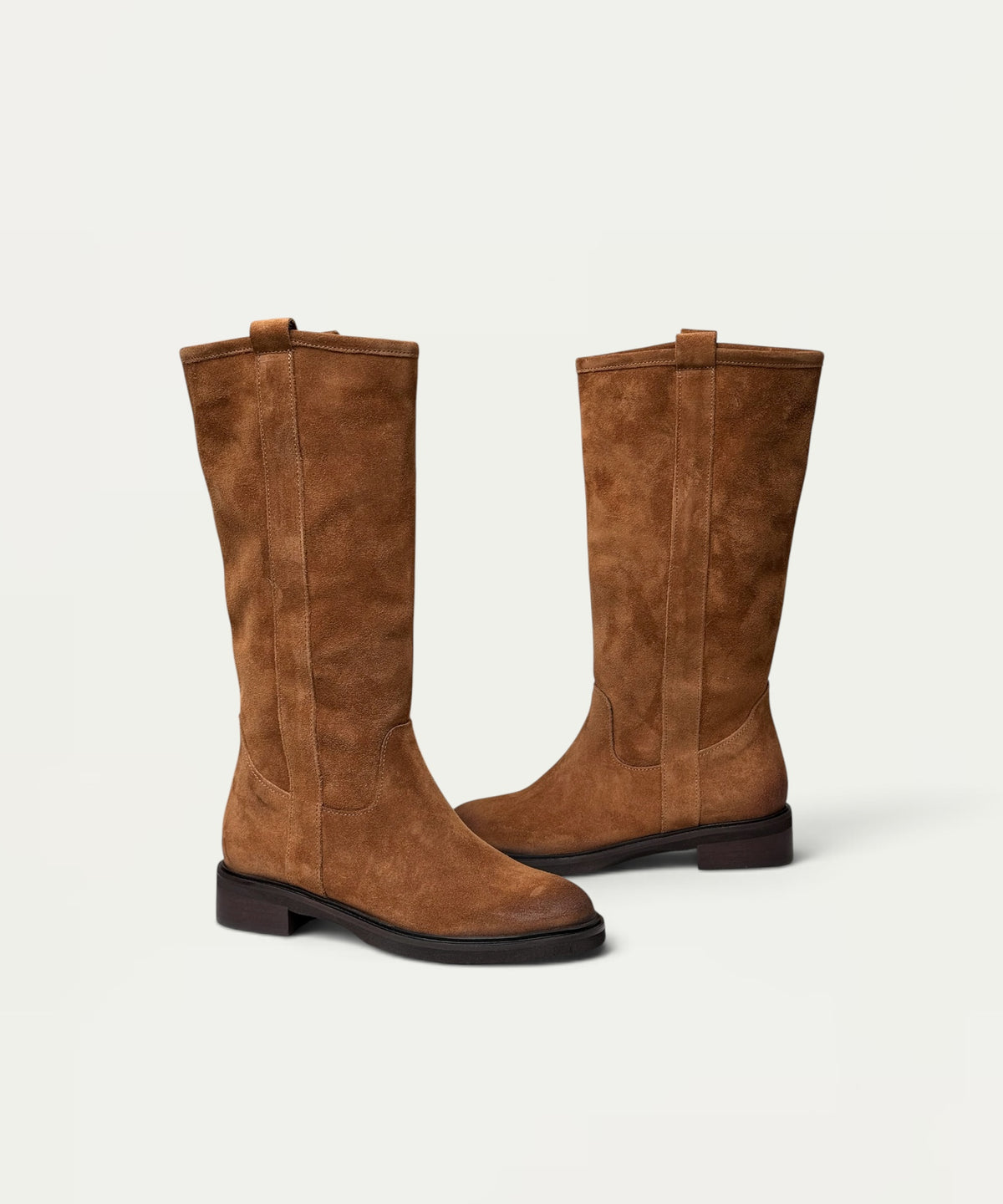 Clarita Camel