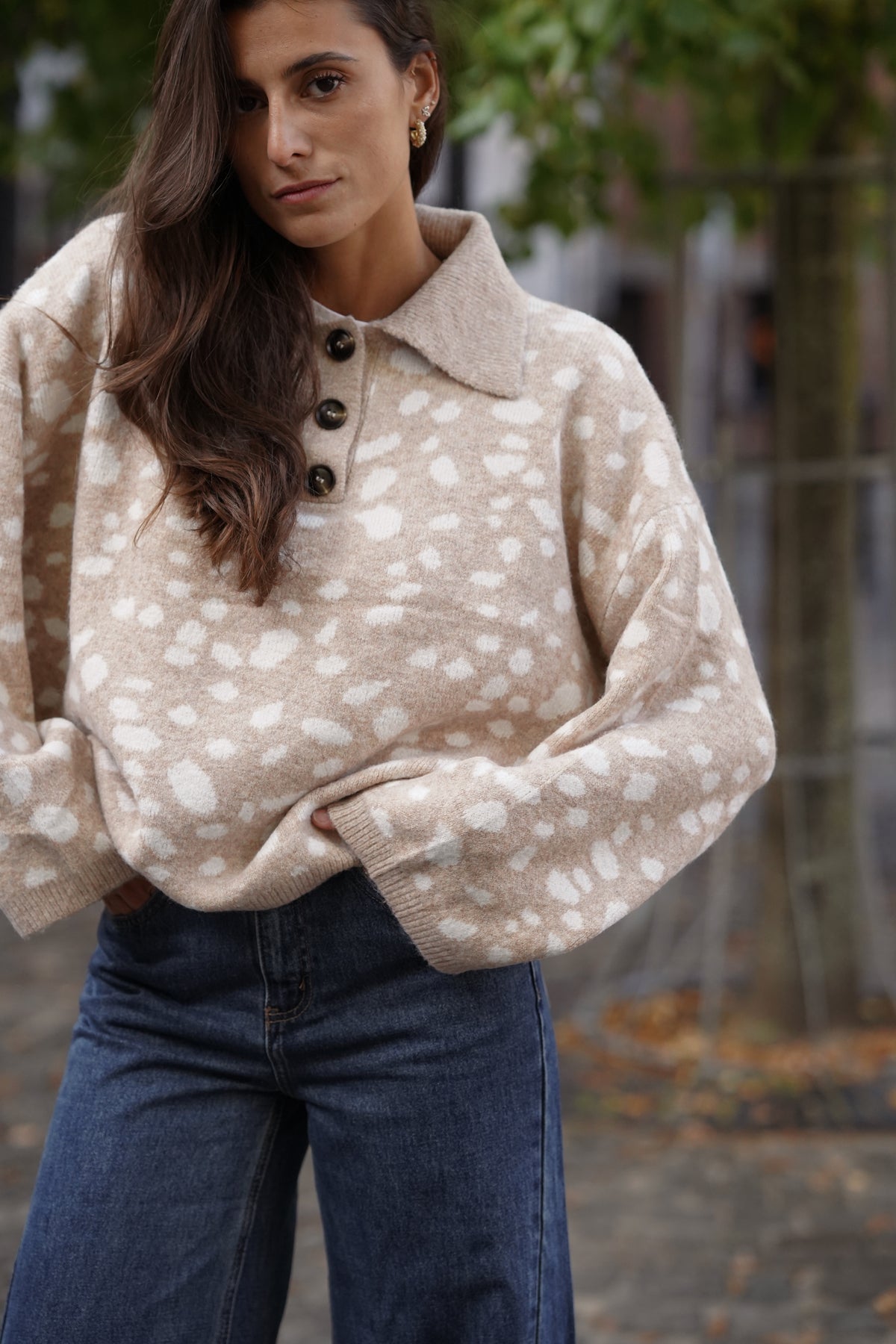 Pull Timmy imprimé beige