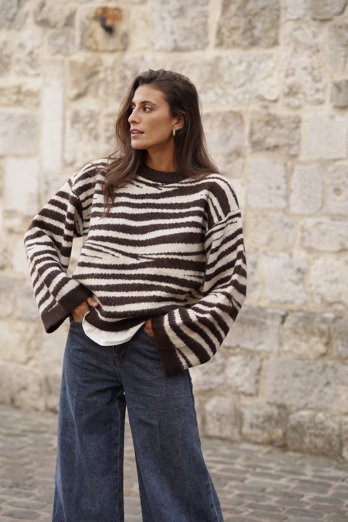 Pull Marty imprimé zébre