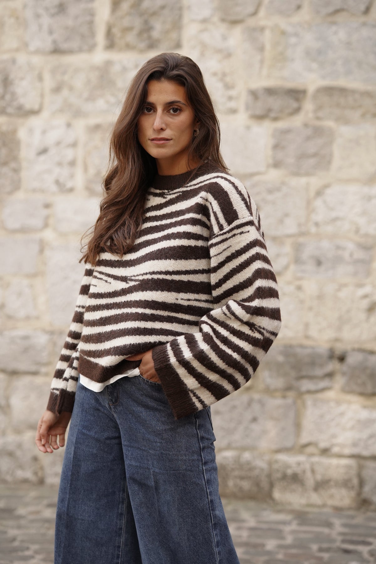 Pull Marty imprimé zébre
