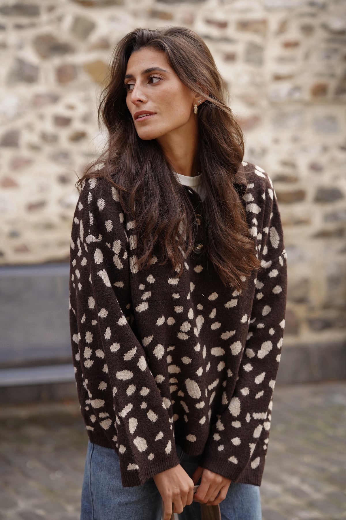Pull Timmy imprimé marron