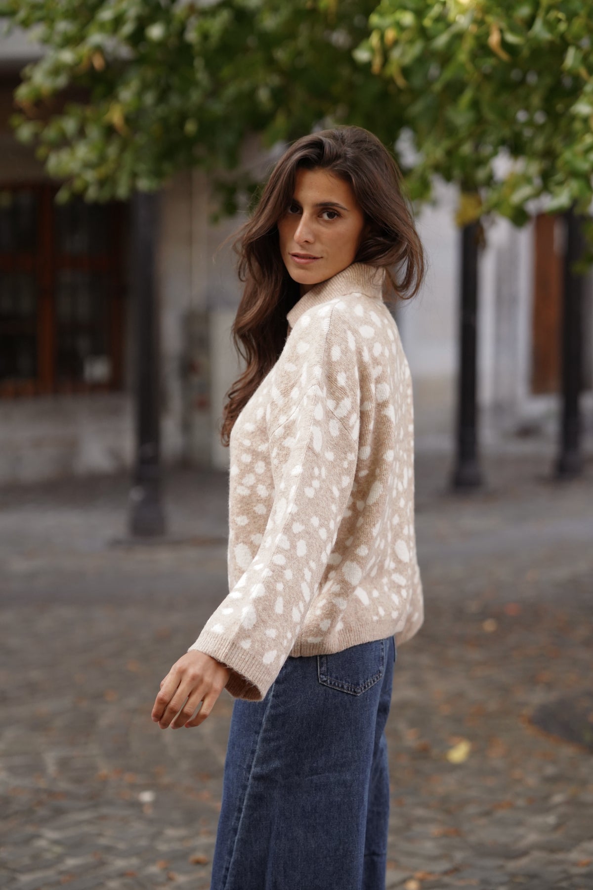 Pull Timmy imprimé beige