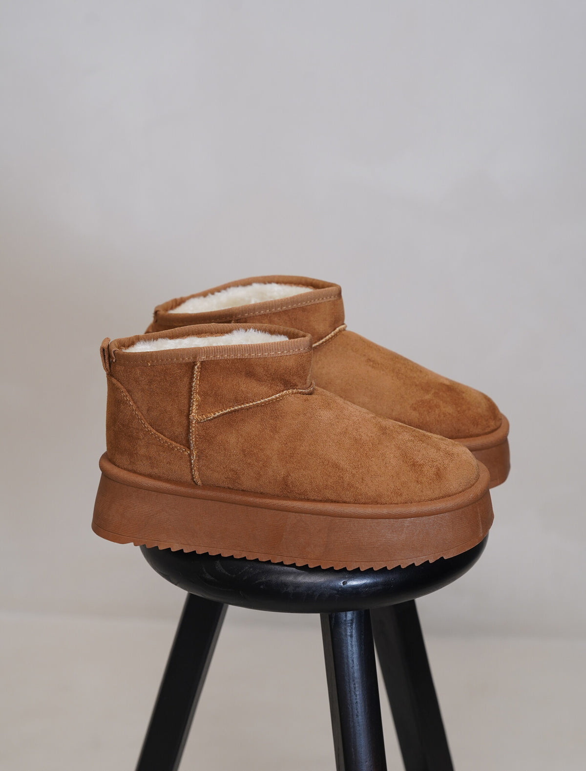 Moyana camel