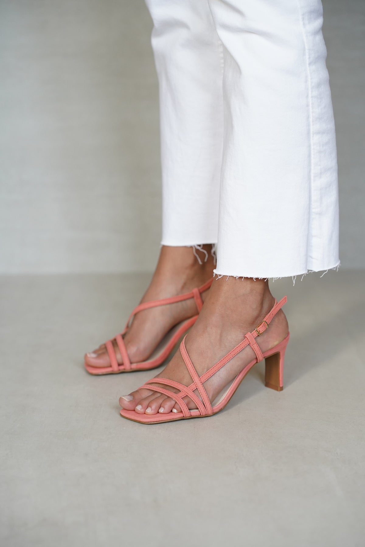 Vénus Corail