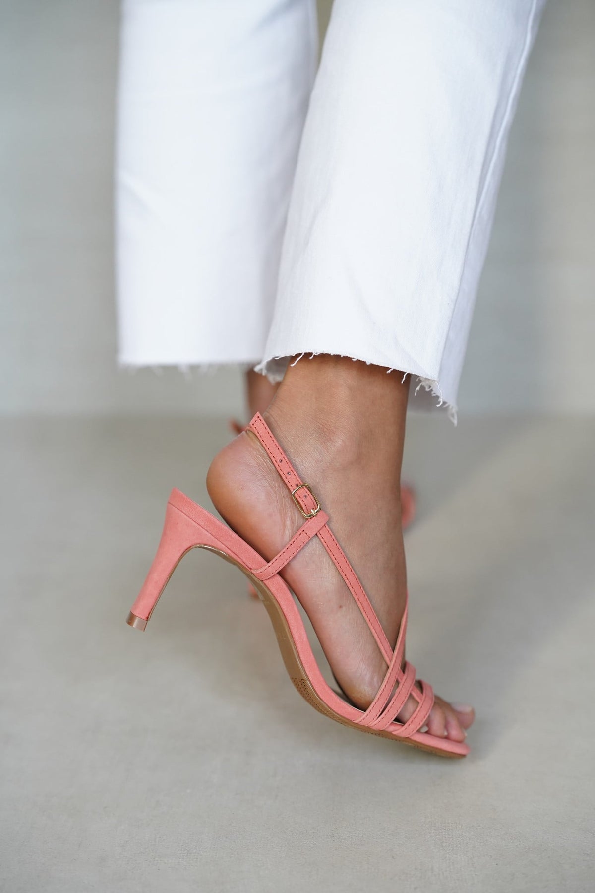 Vénus Corail