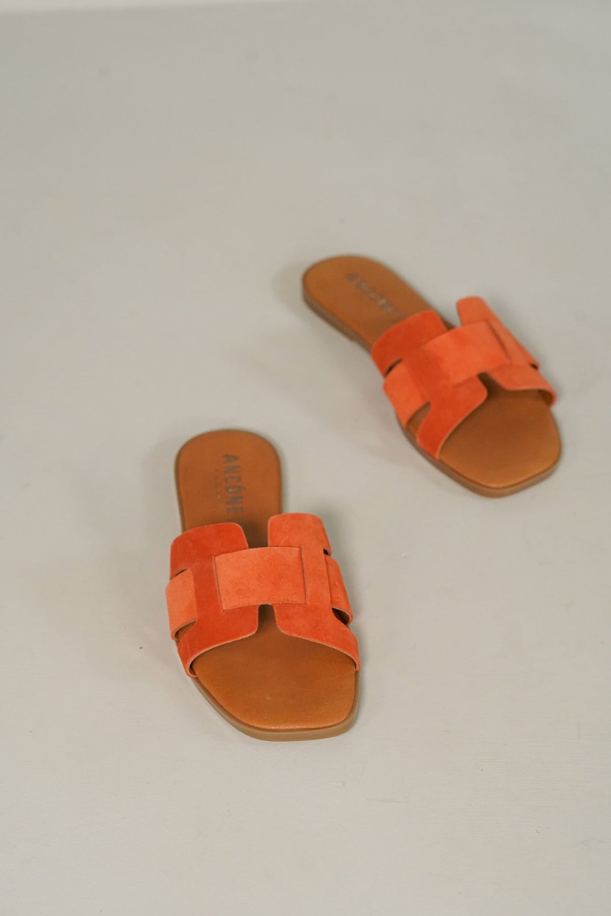 Hinaya Terracotta