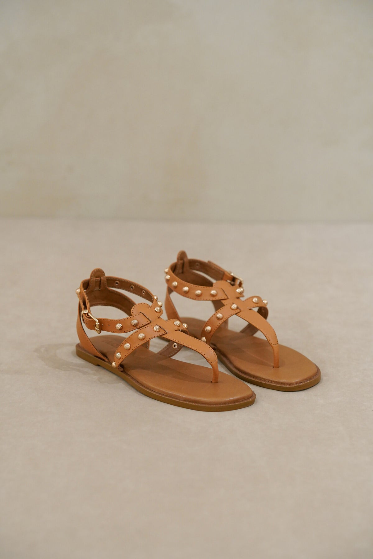 Baria Camel