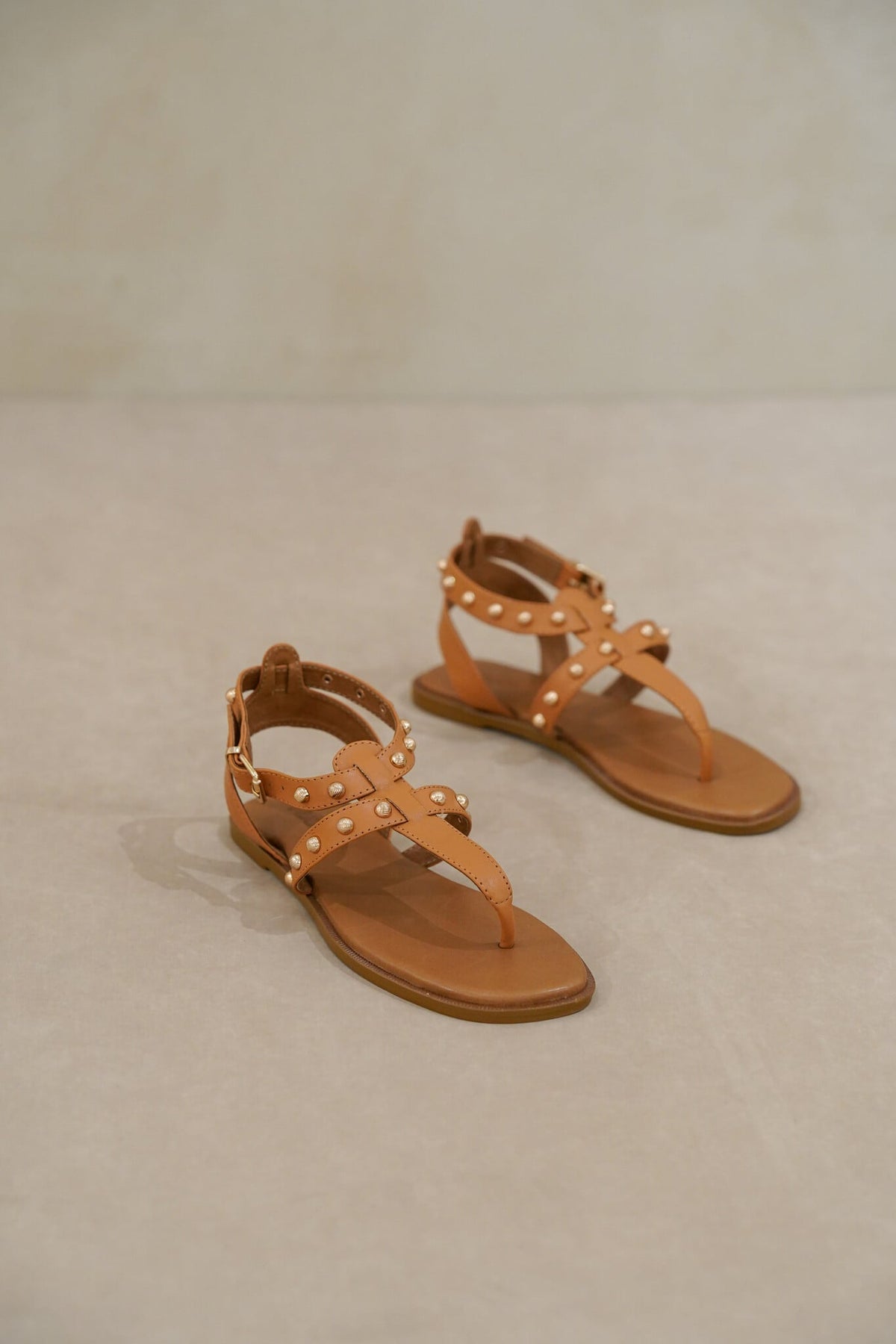 Baria Camel