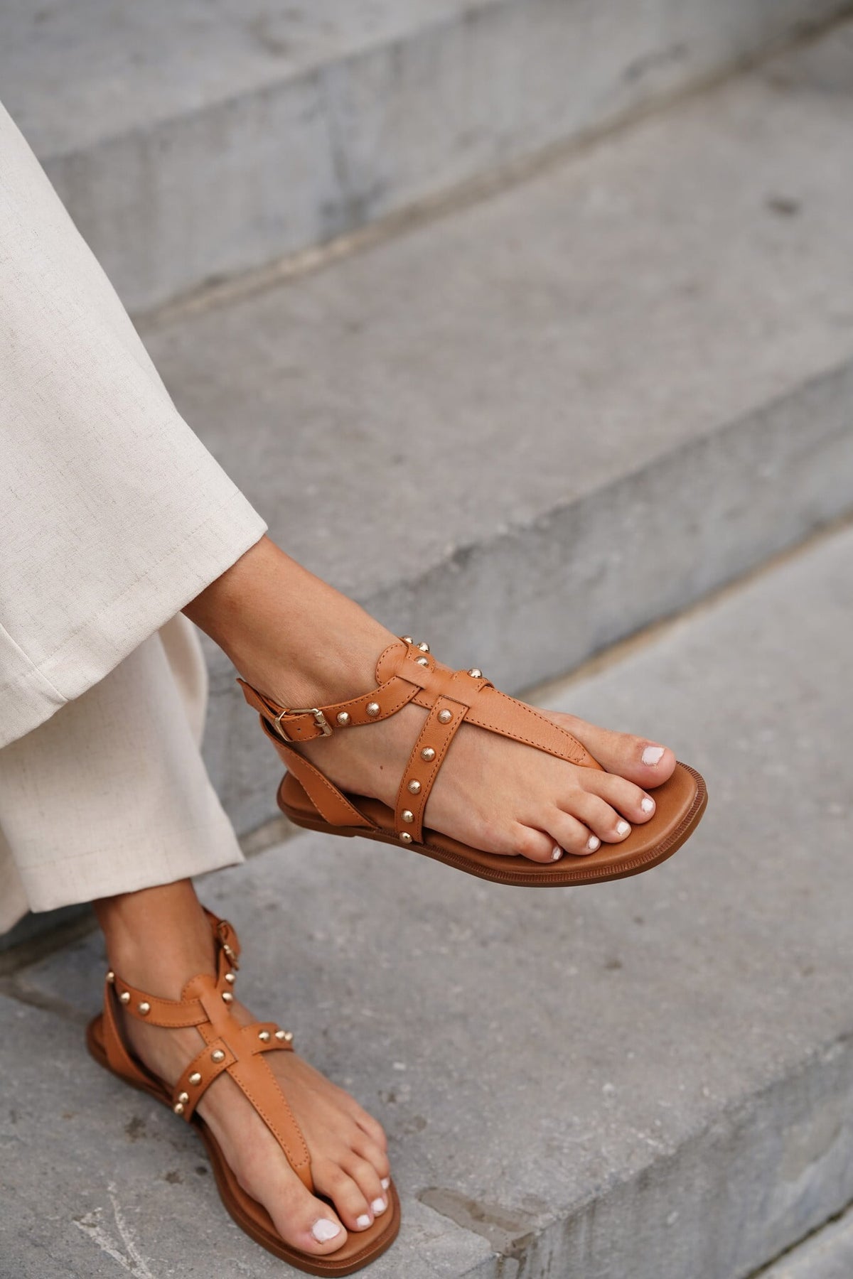 Baria Camel