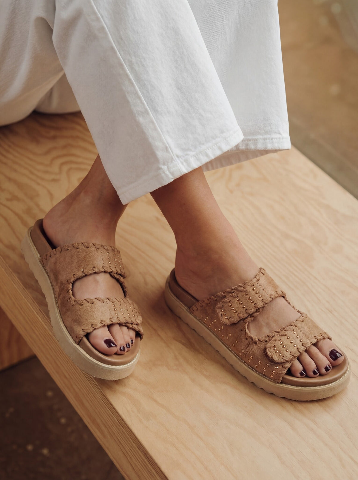 Jodina Camel