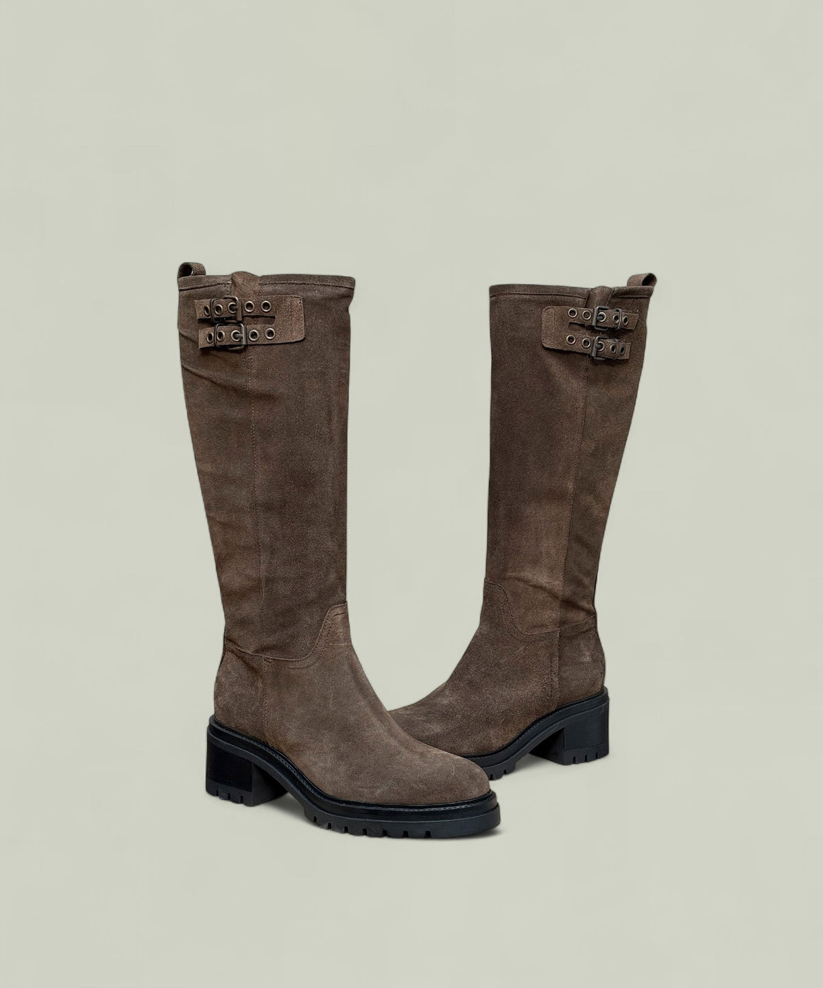 Isabella High Brown