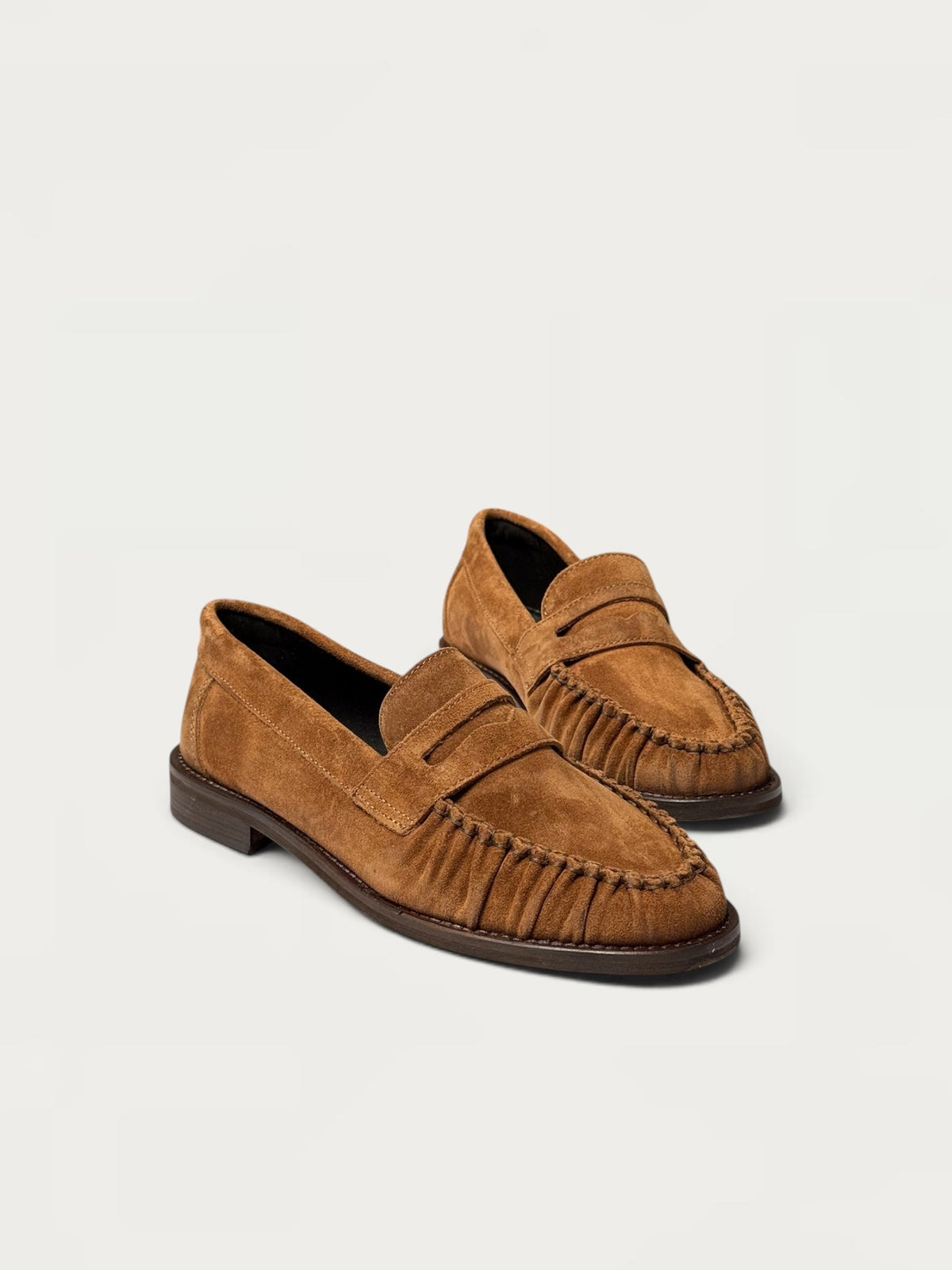 Janie Camel