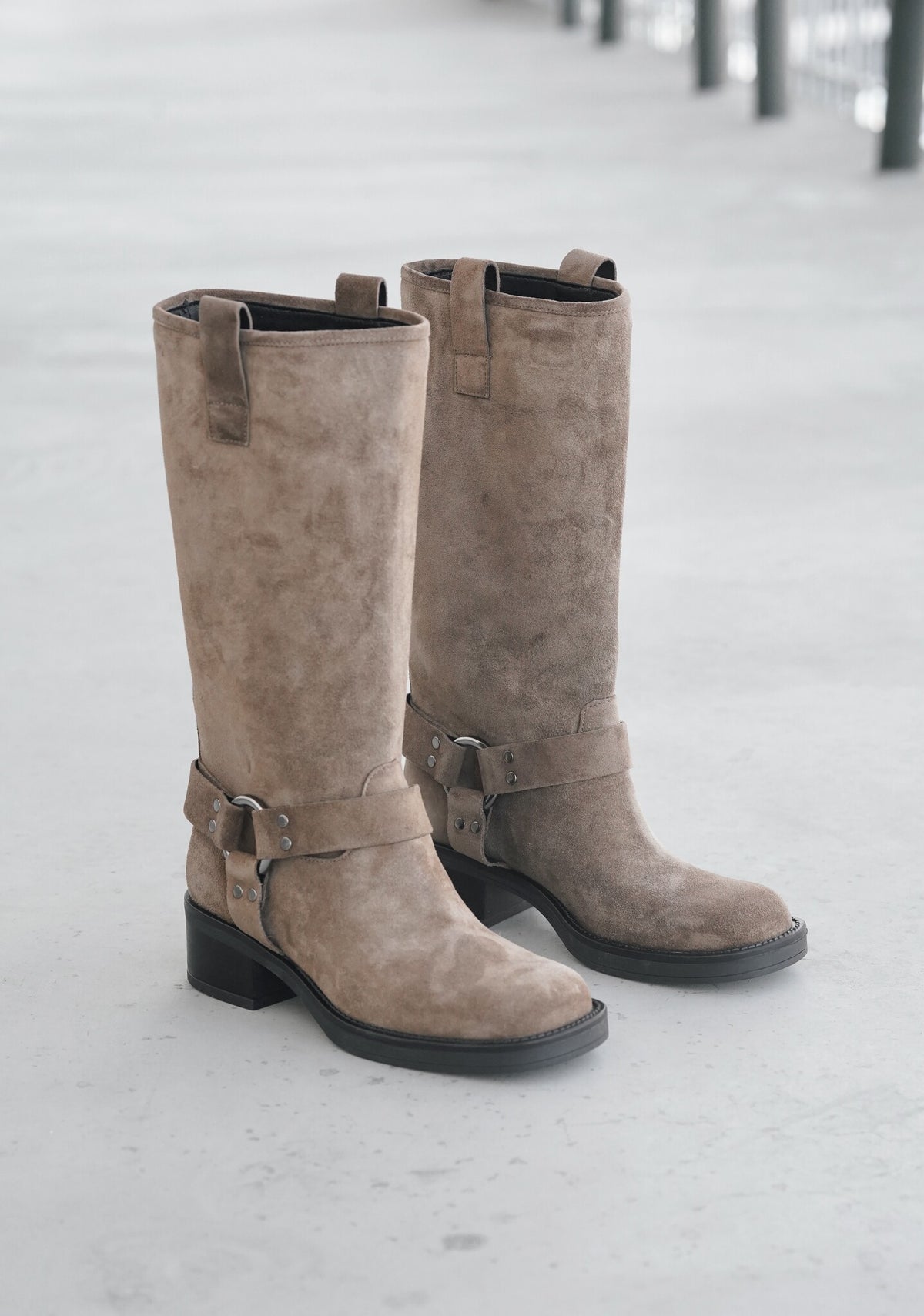 Reggie Taupe